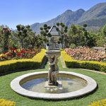 Discover 10 blooming gardens at the 2025 Franschhoek Open Gardens Festival, 14–16 Nov. A spring weekend of beauty, wine, and community giving.
