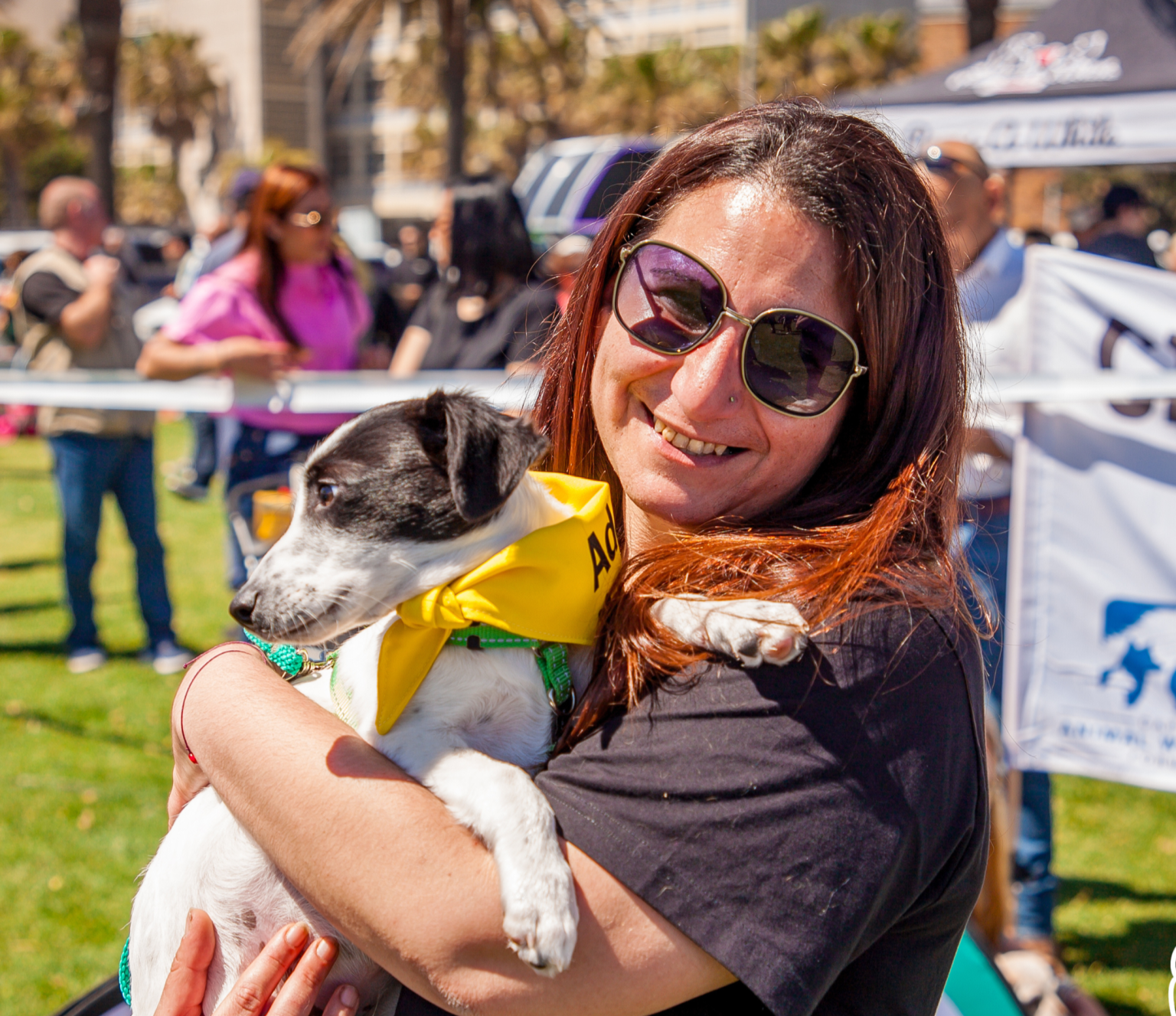 Mars, Pick n Pay, Takealot & Pet Express launch SA’s first nationwide World Animal Day initiative, promoting adoption & pet wellbeing.