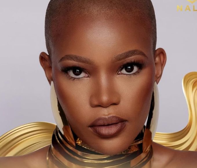 AFI unveils NALA Privé at Hidden Valley Wine Estate, blending African fashion, fine wine, and sustainability in Stellenbosch.