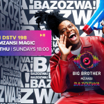 Full cast list of Big Brother Mzansi Season 6 Bazozwa, including new and redeemed housemates, profiles, and where to watch.