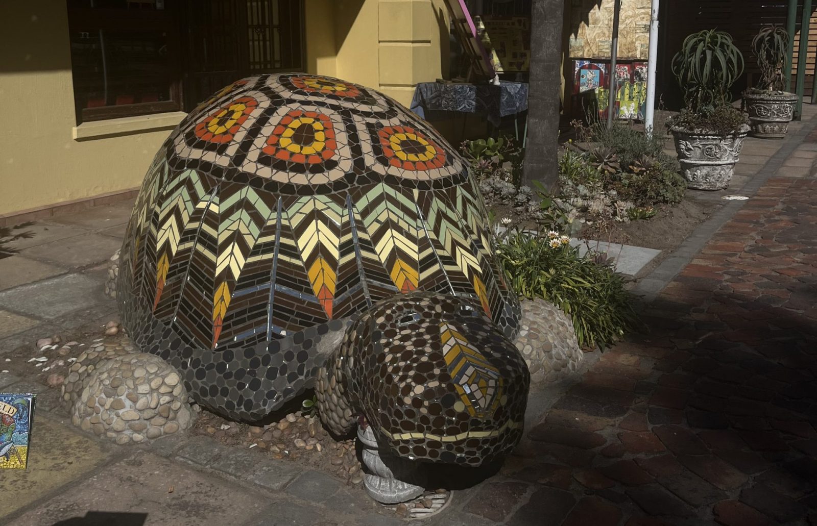 A slow travel escape to Sedgefield on the Garden Route, with food, beaches, art, wellness and a moonlight marine walk.