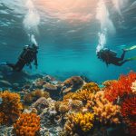 Explore South Africa’s top dive sites, from Sodwana Bay and Aliwal Shoal to Mossel Bay and Simon’s Town penguin dives.