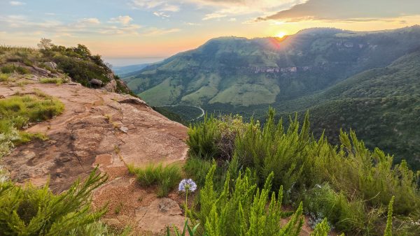 Discover Hogsback in the Amathole Mountains, a misty Eastern Cape retreat with forest trails, waterfalls and cliff-edge stays.