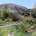 National Gardens Week 2026 offers free access to South Africa’s botanical and zoological gardens from 9 to 15 March.