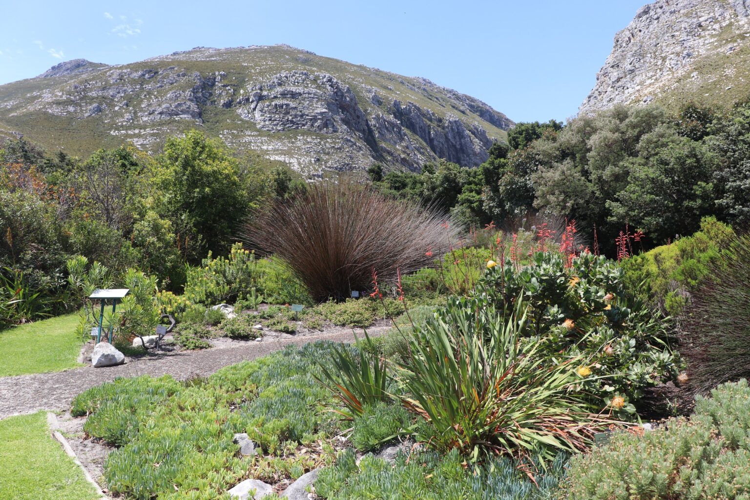 National Gardens Week 2026 offers free access to South Africa’s botanical and zoological gardens from 9 to 15 March.