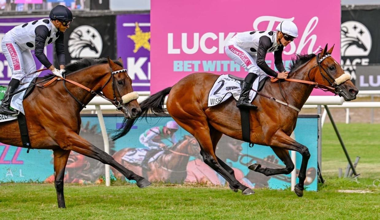 Wish List becomes the first filly this century to win the Gr 1 Cape Derby at Hollywoodbets Kenilworth during the Cape Summer Festival of Racing.