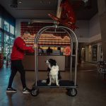 Easter travel trends show South Africans choosing meaningful, pet-friendly and wellness-focused holidays shaped by everyday routines.