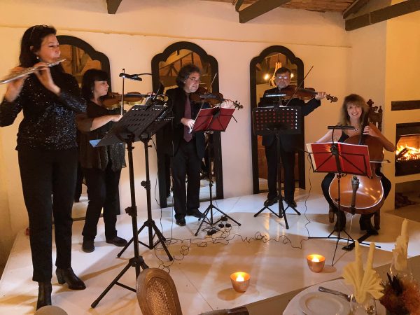 De Hoop Collection hosts Wine Whales and Music Weekend 2026 with whale watching, wine tastings, live music and coastal experiences.