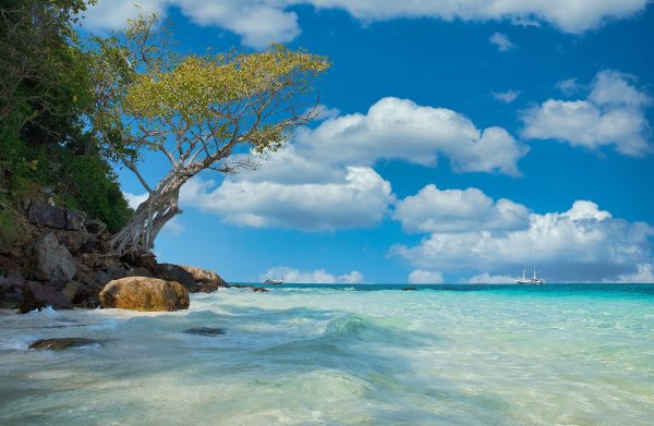 Thailand is redefining healthcare by combining world-class medical treatments with holistic recovery programmes at centres like RAKxa Wellness.