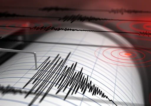 Japan issues tsunami alerts after earthquake. See affected areas and travel advice for visitors.