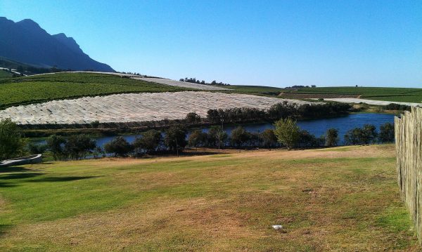 Art gallery and landscape in the Swartland near Cape Town