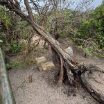 Severe weather has forced the closure of several hiking trails, picnic sites and facilities in Table Mountain National Park.