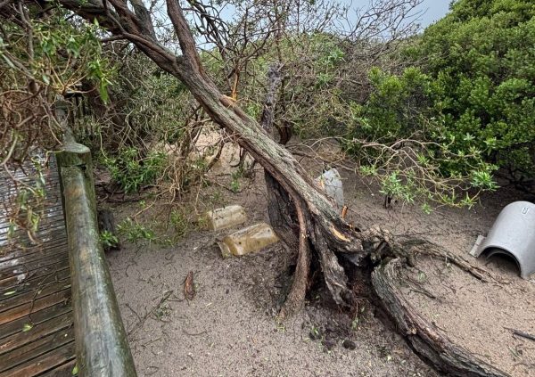 Severe weather has forced the closure of several hiking trails, picnic sites and facilities in Table Mountain National Park.