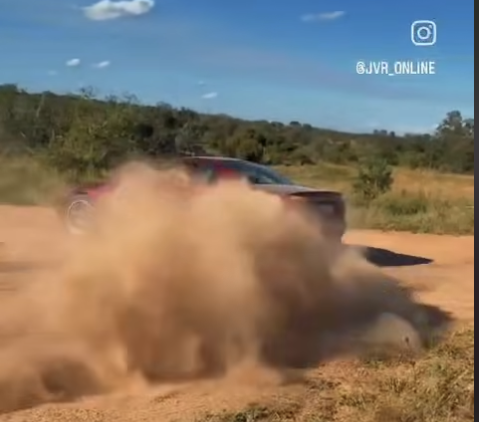 The driver linked to the viral Kruger National Park drifting controversy has apologised after backlash and a SANParks investigation.