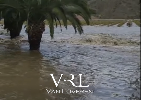 Van Loveren Family Vineyards has suffered severe flood damage after the Breede River breached the winery, causing estimated losses of 1.3 million bottles of wine.