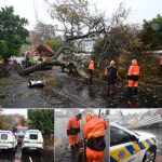 Cape Town teams are clearing flooded roads, fallen trees and blocked drains as severe weather disrupts parts of the metro.