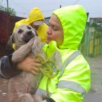 Severe weather has damaged parts of the Animal Welfare Society of South Africa as rescue teams appeal for urgent public support.