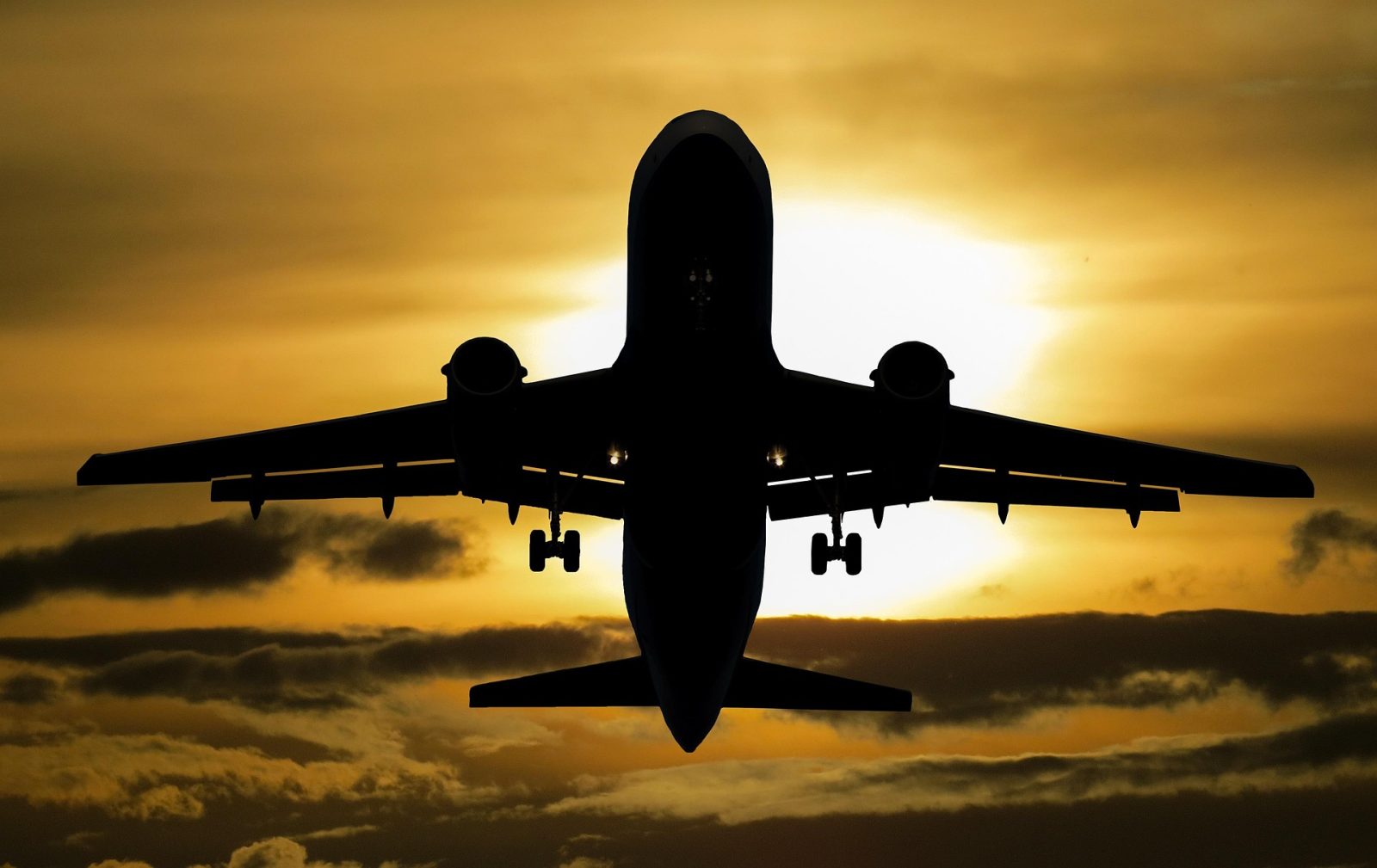 A Qantas flight from Melbourne to Dallas was diverted to Tahiti after a passenger allegedly bit a crew member during a violent outburst.