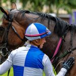 Young thoroughbred racehorse training at the Hollywood Group Ashburton training centre ahead of the Durban July.