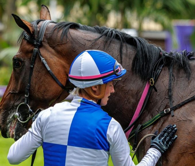 Young thoroughbred racehorse training at the Hollywood Group Ashburton training centre ahead of the Durban July.