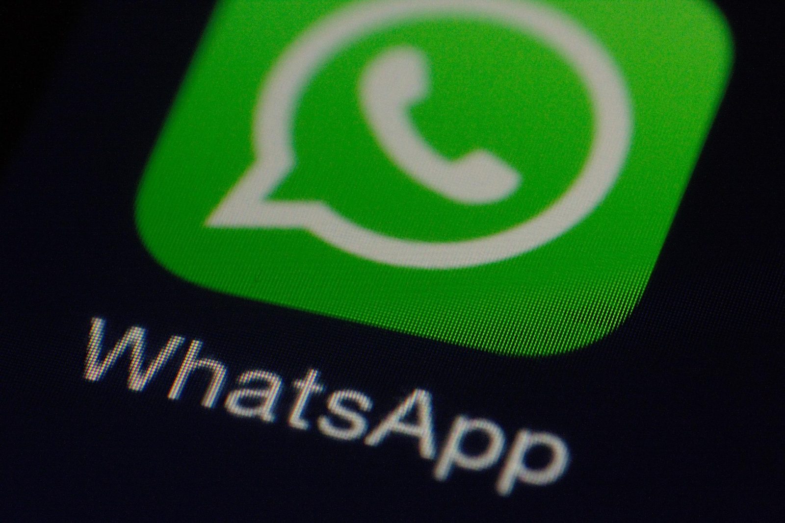 WhatsApp user checking username settings on a smartphone.