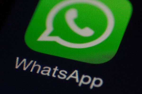 WhatsApp user checking username settings on a smartphone.