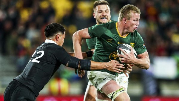 Springboks and All Blacks preparing for their Ellis Park Test