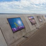 ORMS x Canon Sea Point Promenade Photographic Exhibition