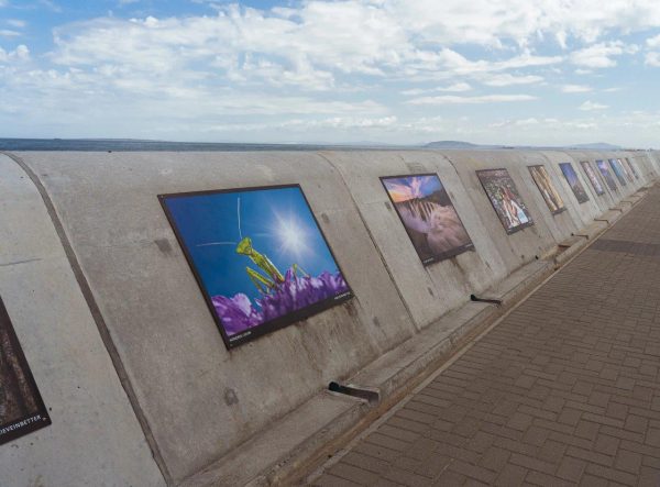 ORMS x Canon Sea Point Promenade Photographic Exhibition