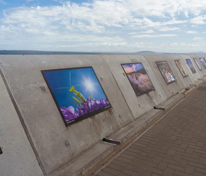 ORMS x Canon Sea Point Promenade Photographic Exhibition