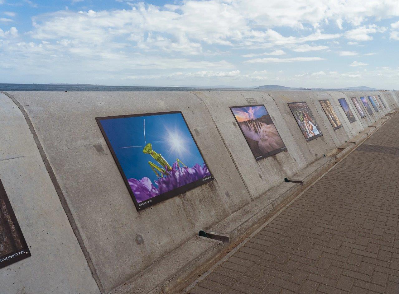 ORMS x Canon Sea Point Promenade Photographic Exhibition