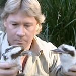 Bindi Irwin with her father Steve Irwin, remembered 20 years after his death