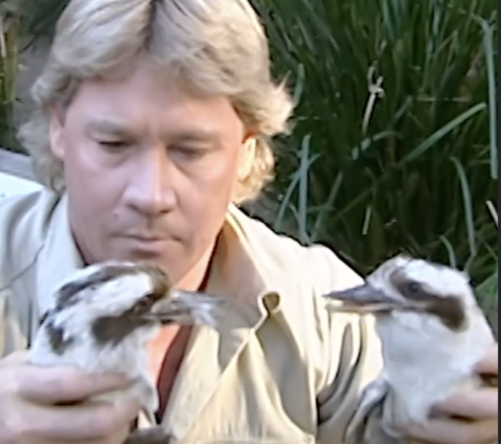 Bindi Irwin with her father Steve Irwin, remembered 20 years after his death