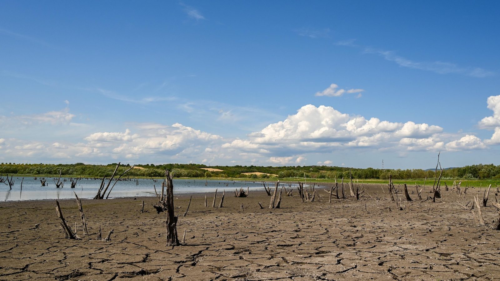 Dry landscape under hot conditions as SAWS warns of a strong El Niño