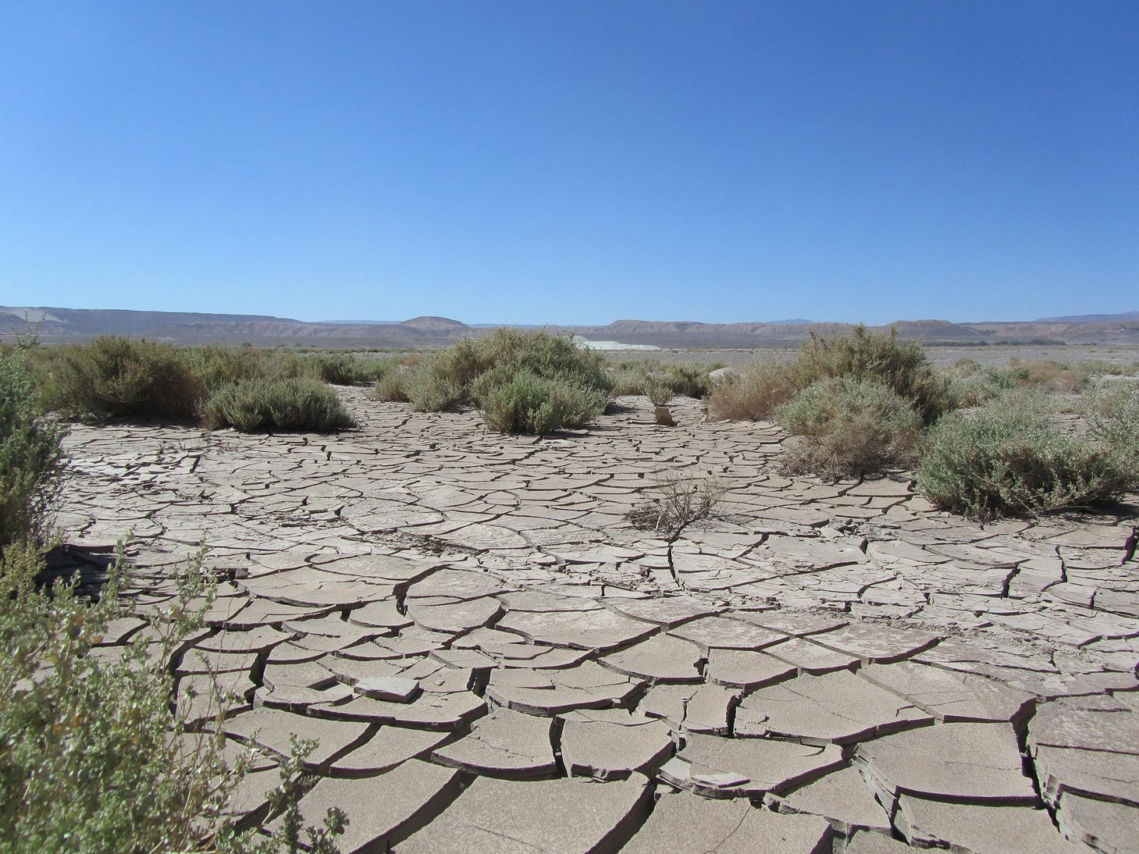 South Africa 2026/27 El Niño forecast showing hotter temperatures and below-normal rainfall risk