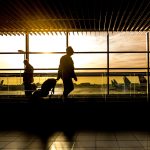 International travellers enjoying a tourism experience in South Africa
